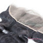 Body Wave Frontal - Transparent